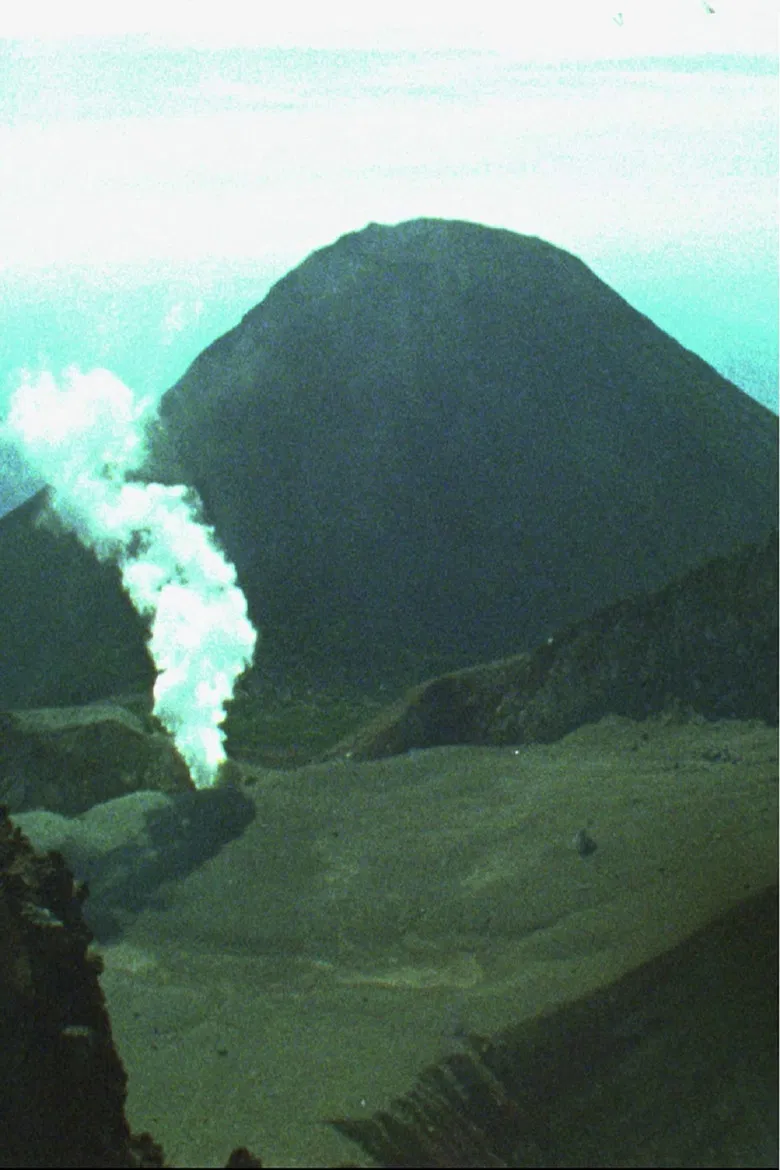 Wabi Sabi poster background