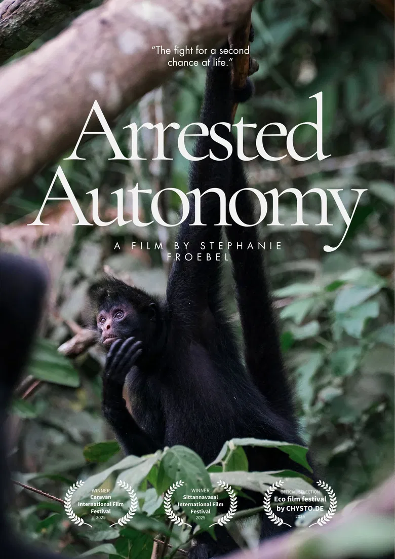 Arrested Autonomy poster background