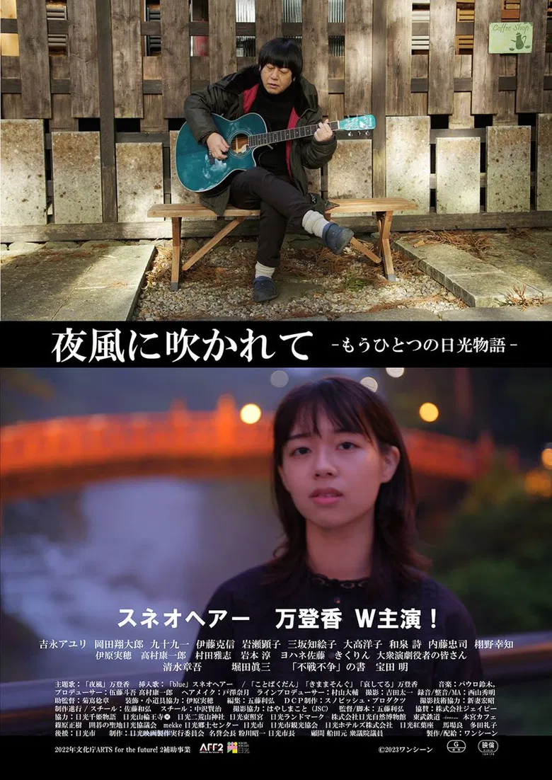 夜風に吹かれて もうひとつの日光物語 poster background