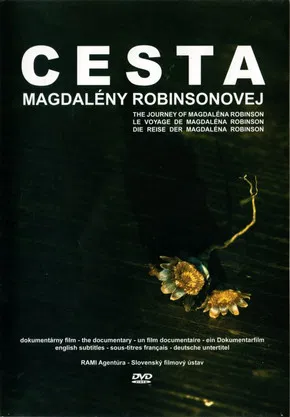 The Journey of Magdalena Robinson poster background