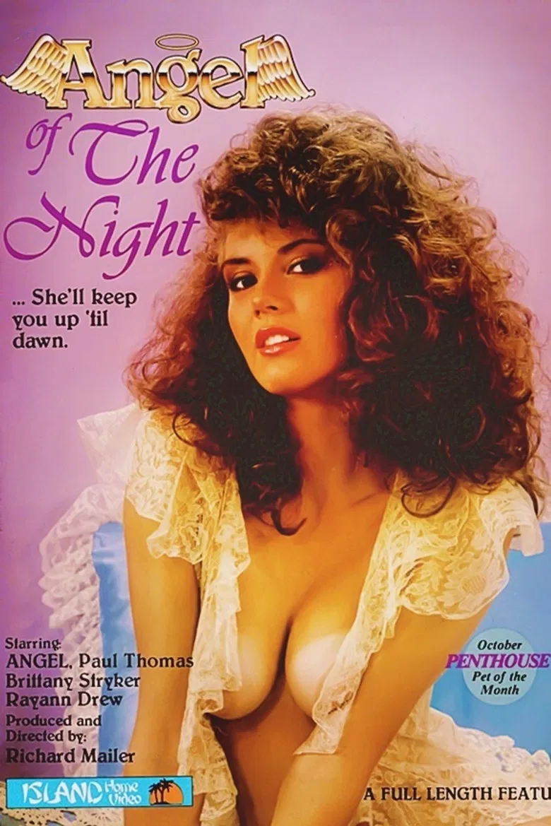 Angel of the Night poster background