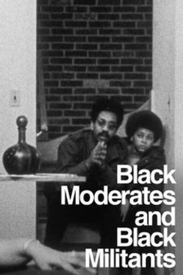 The Urban Crisis and the New Militants: Module 6 - Black Moderates and Black Militants poster background