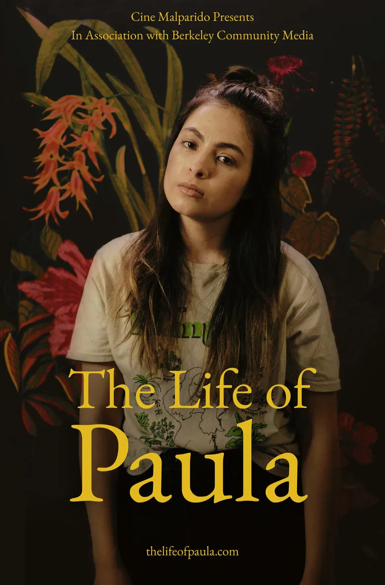The Life of Paula poster background