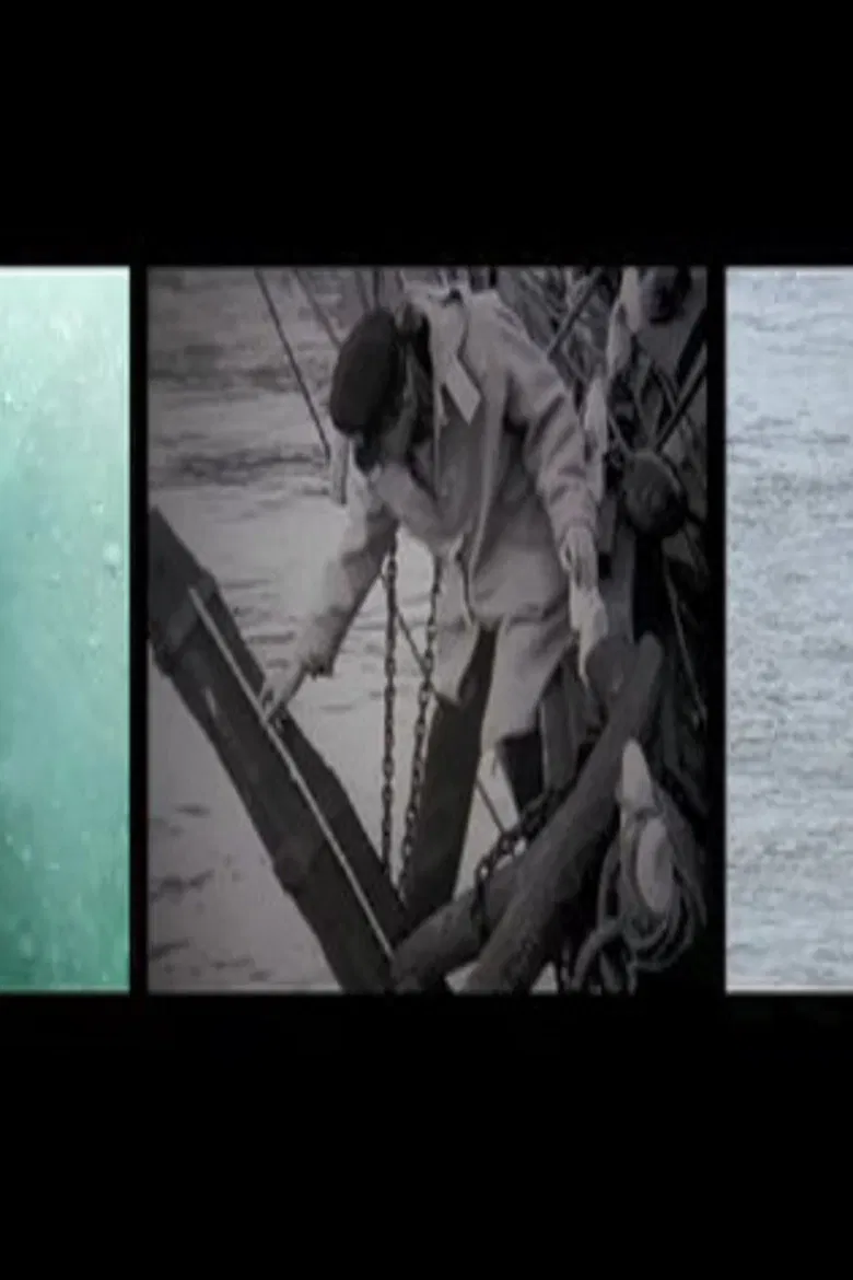 We Account the Whale Immortal poster background