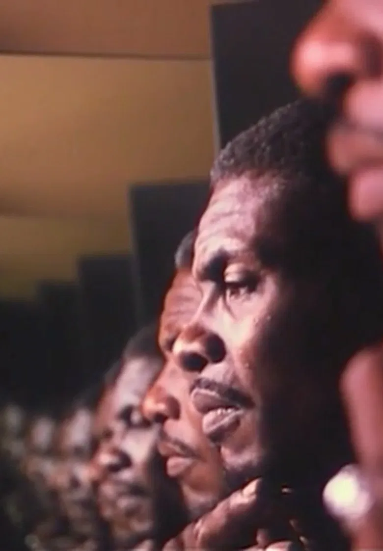 Hallelujah Anyhow poster background