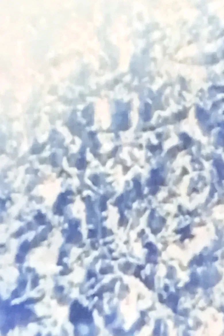 Ecosystem 12 ~ Conjunction poster background