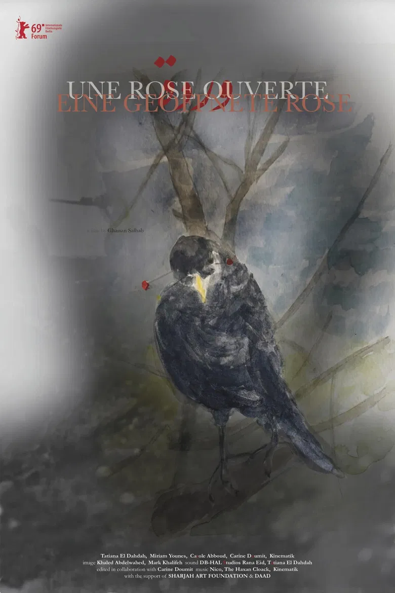 An Open Rose poster background