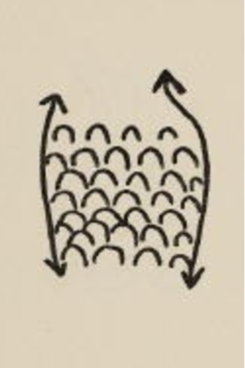 Projet Pour Un Poisson poster background