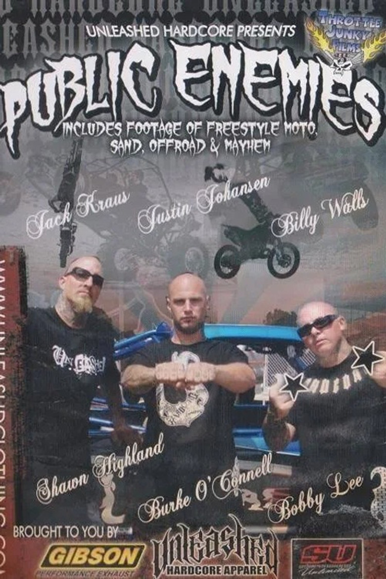 Public Enemies poster background