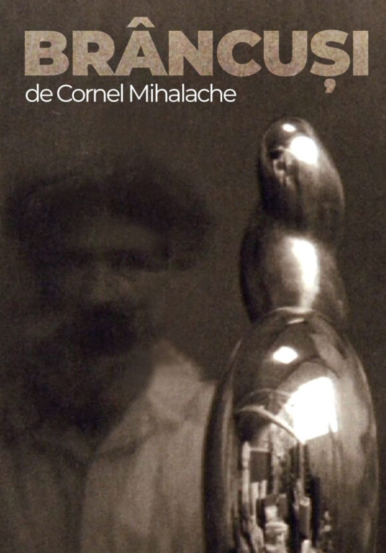 Brâncuși poster background