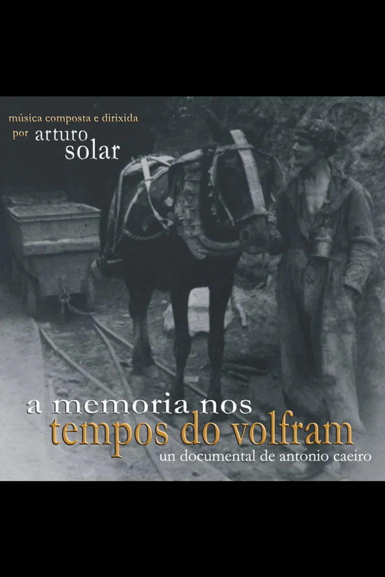 A Memoria nos tempos do wolfram poster background