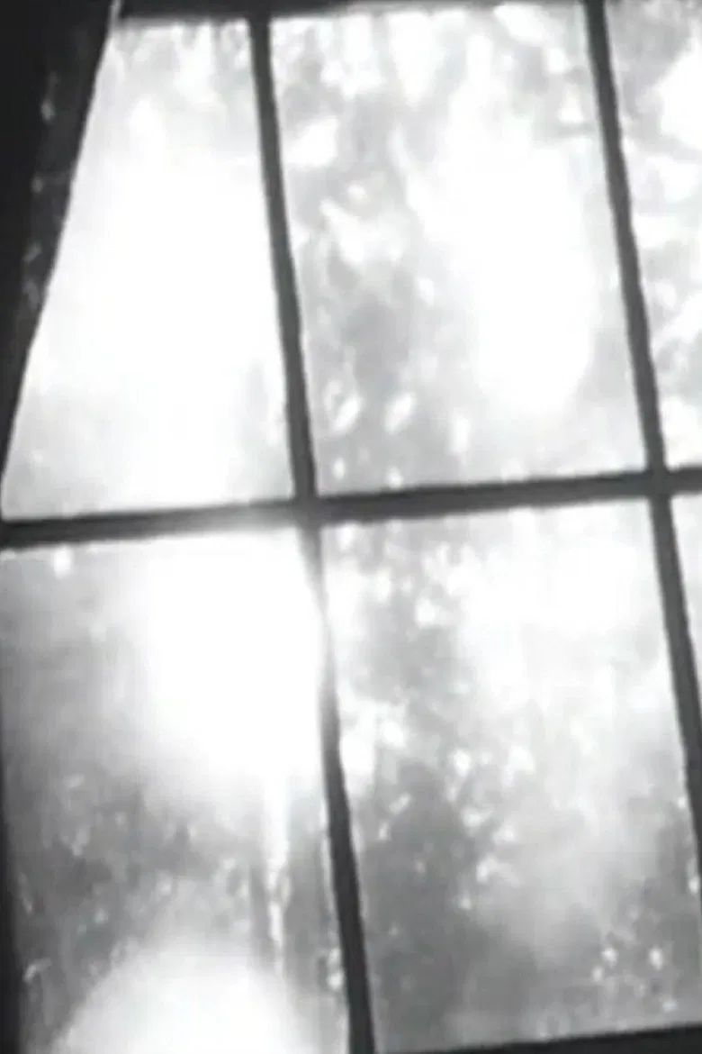 Mountain Cat poster background