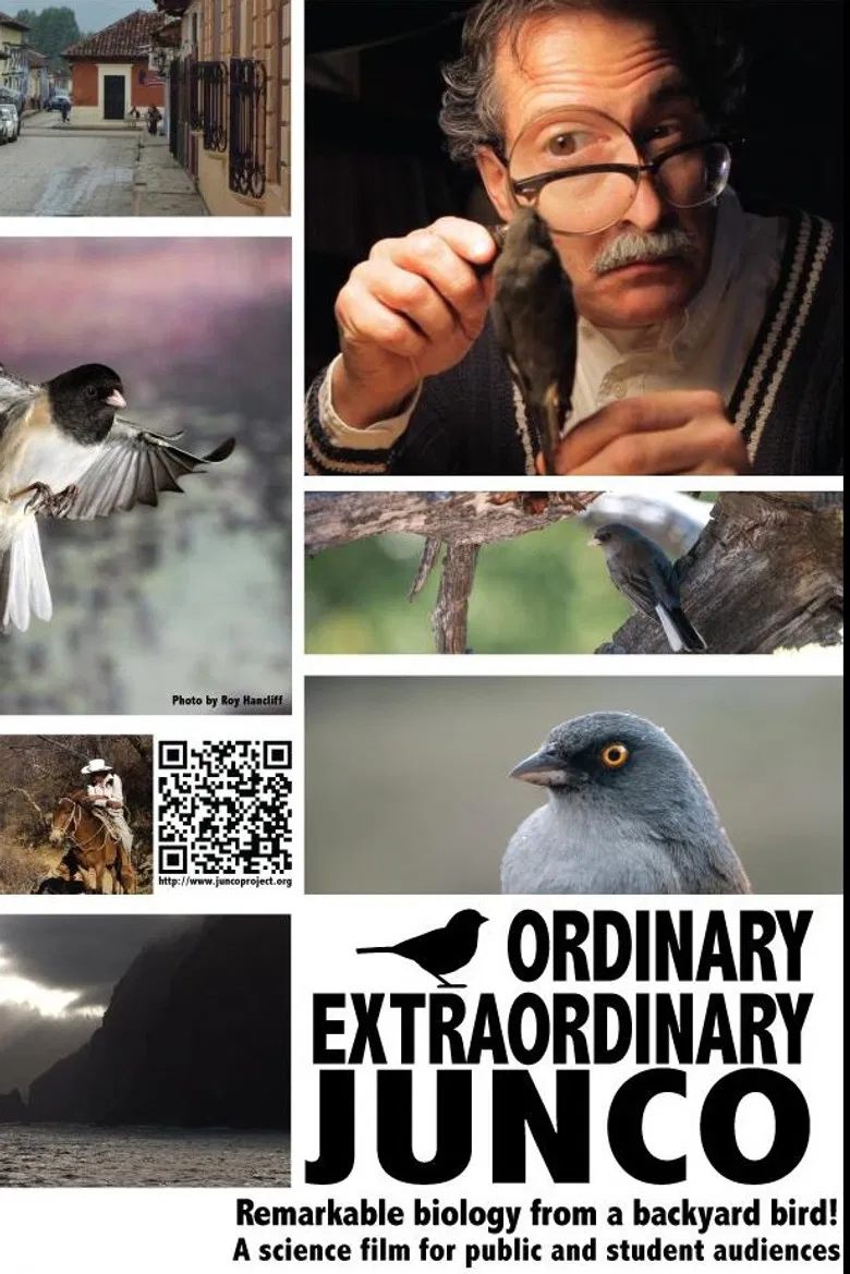Ordinary Extraordinary Junco poster background