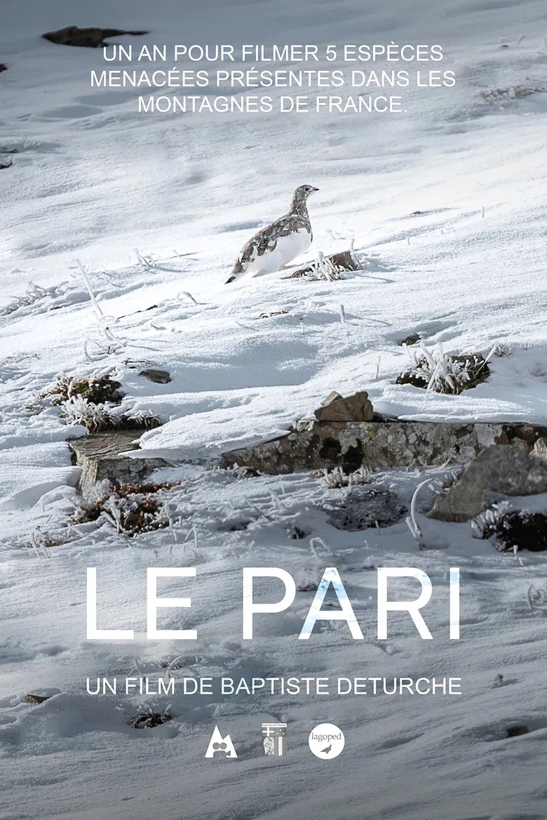 Le pari poster background