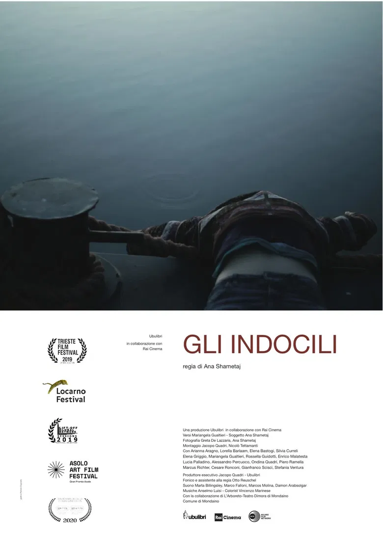 Gli indocili poster background