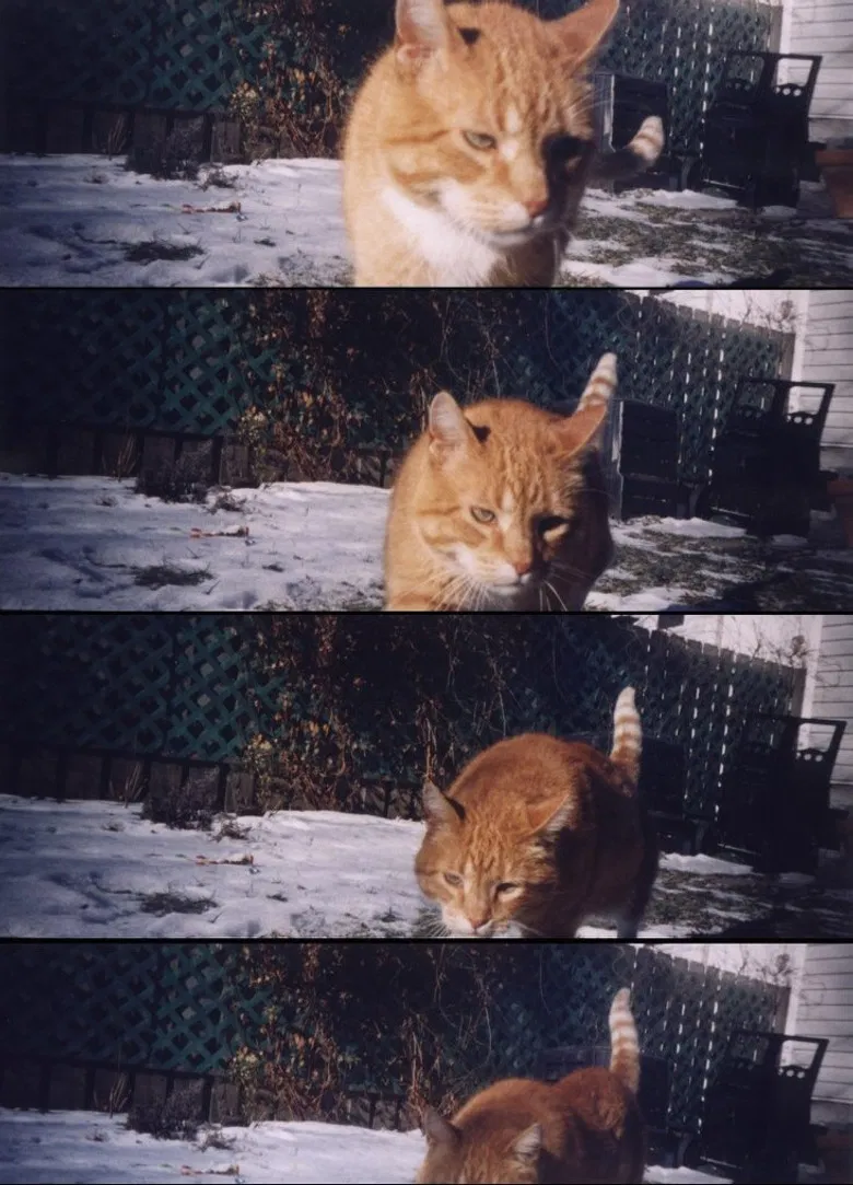 Nobody Knows poster background