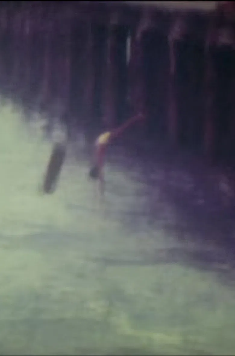 Supermemórias poster background