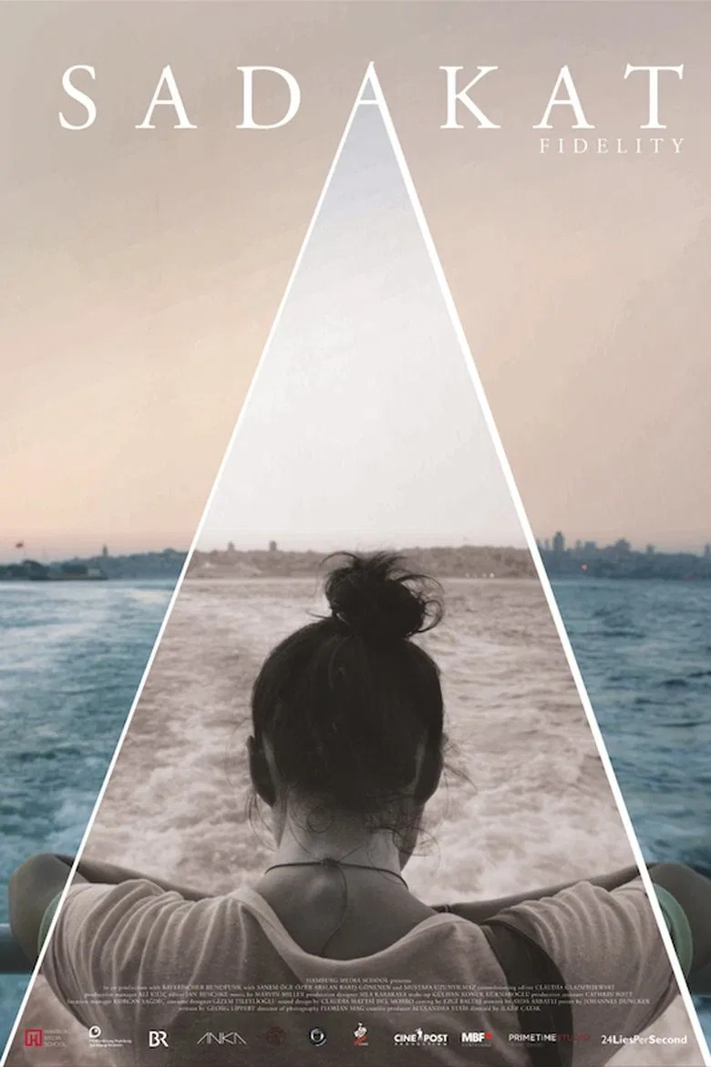 Fidelity poster background