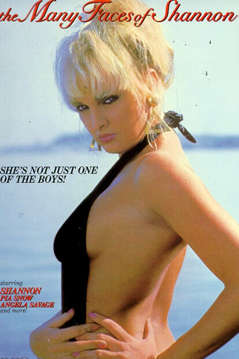 The Many Faces of Shannon poster background