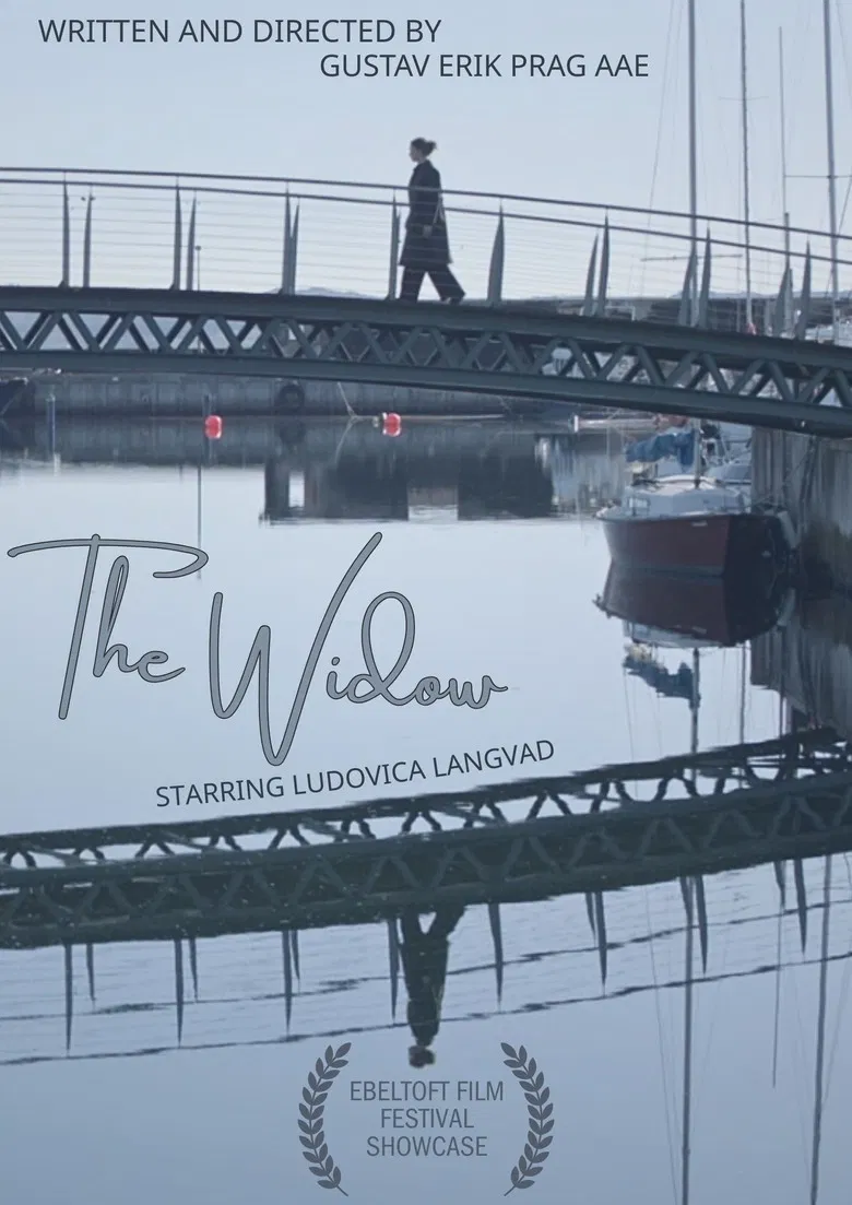 The Widow poster background