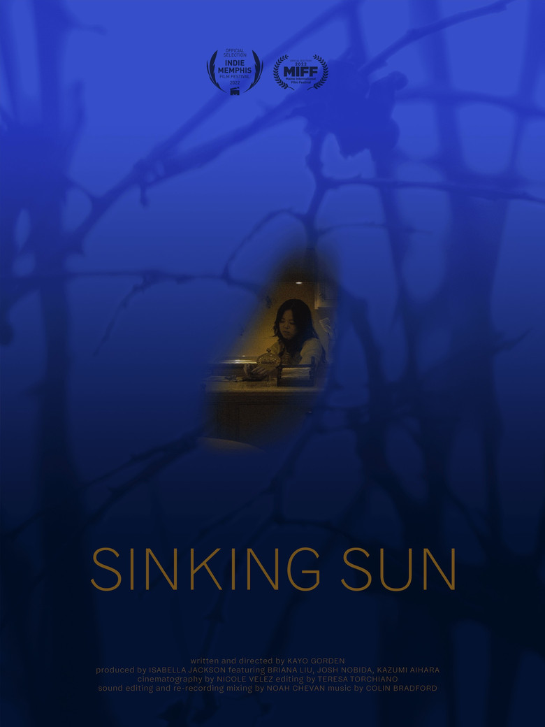Sinking Sun poster background
