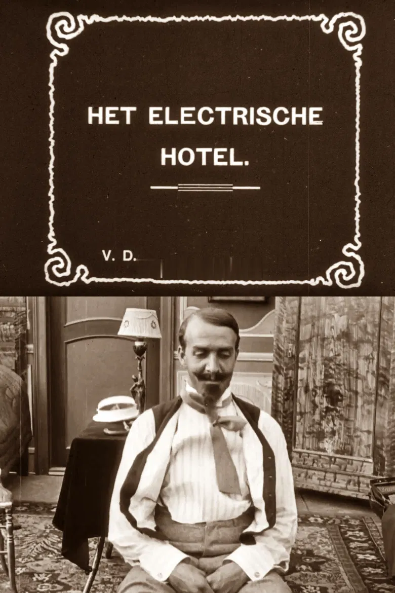 Det elektriske Hotel poster background