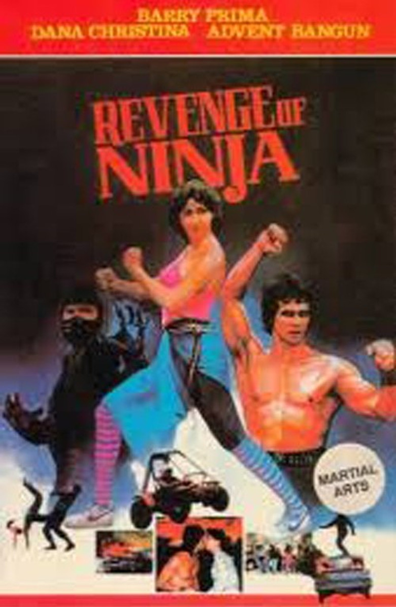 Revenge of the Ninja poster background