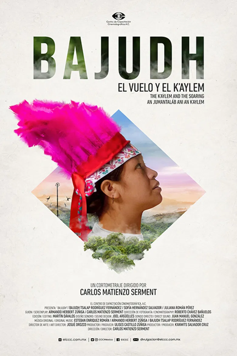 Bajudh poster background