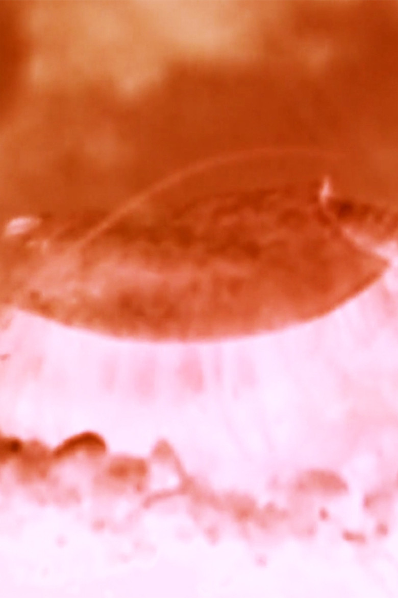 t.r.3.o.p.s. poster background