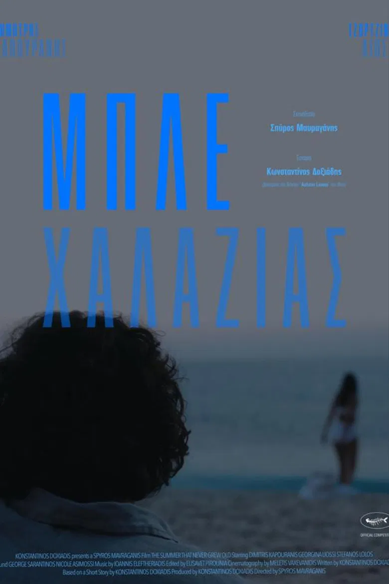 The Summer That Never Grew Old poster background