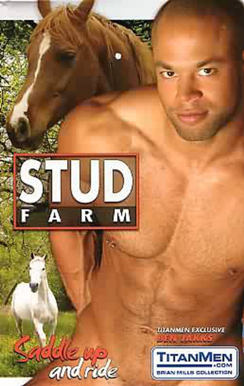 Stud Farm poster background