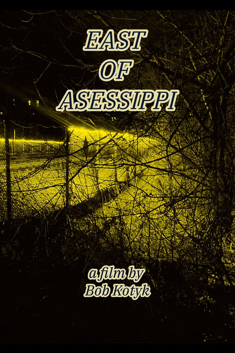 East of Asessippi poster background