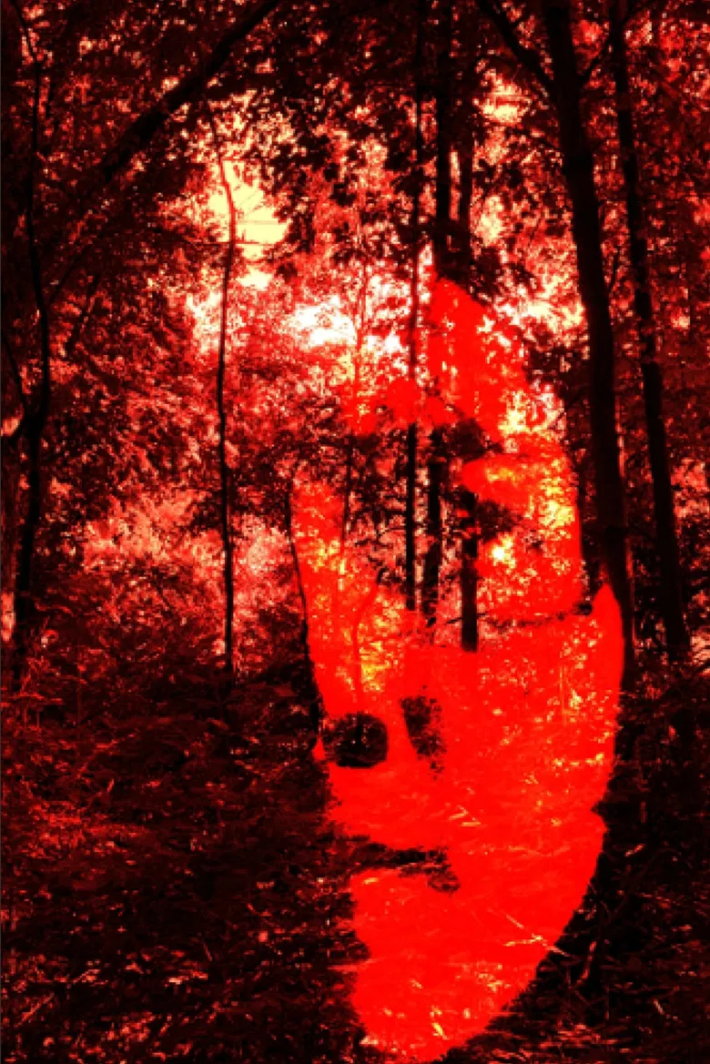 The Fuckee's Hymn poster background