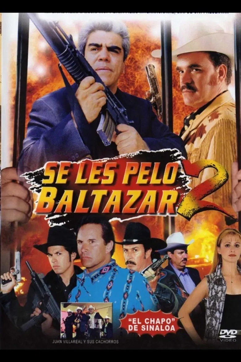 Se les pelo Baltazar 2 poster background