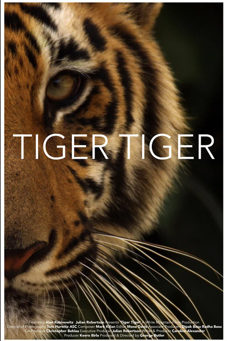 Tiger Tiger poster background