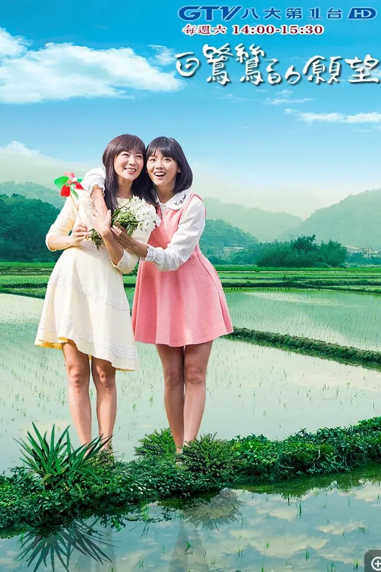 白鷺鷥的願望 poster background