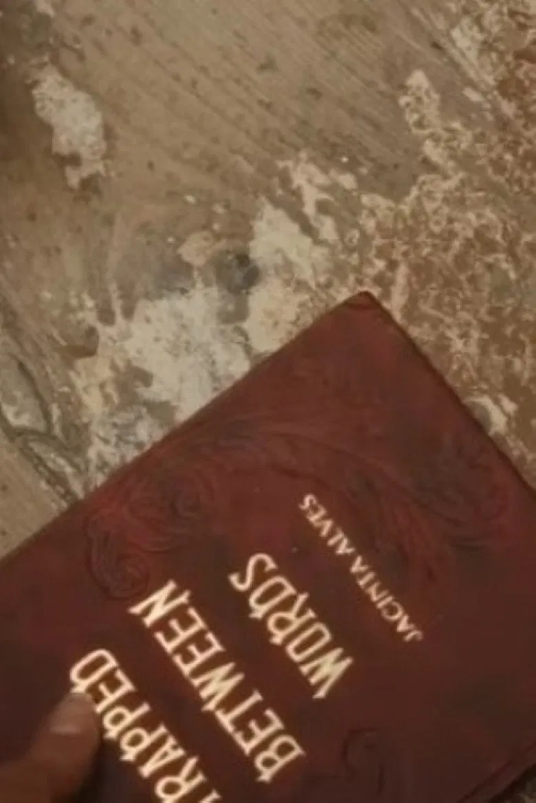 Trapped between words poster background