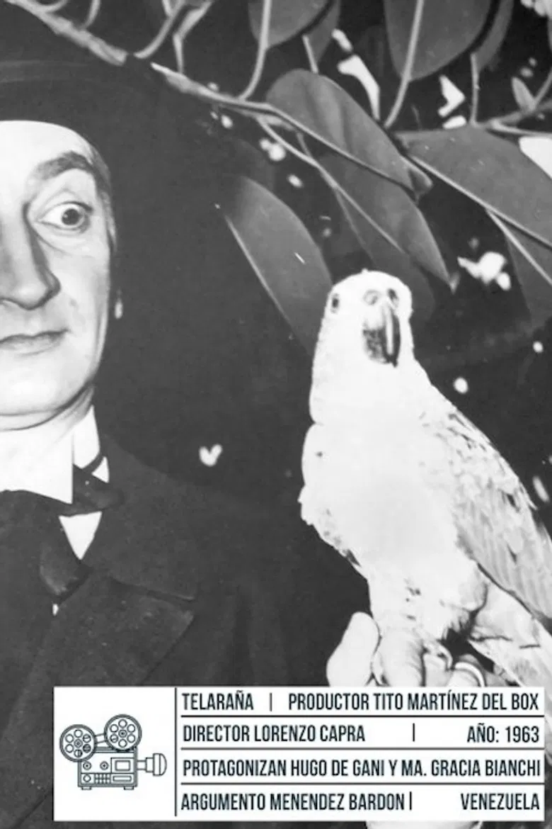 Telaraña poster background