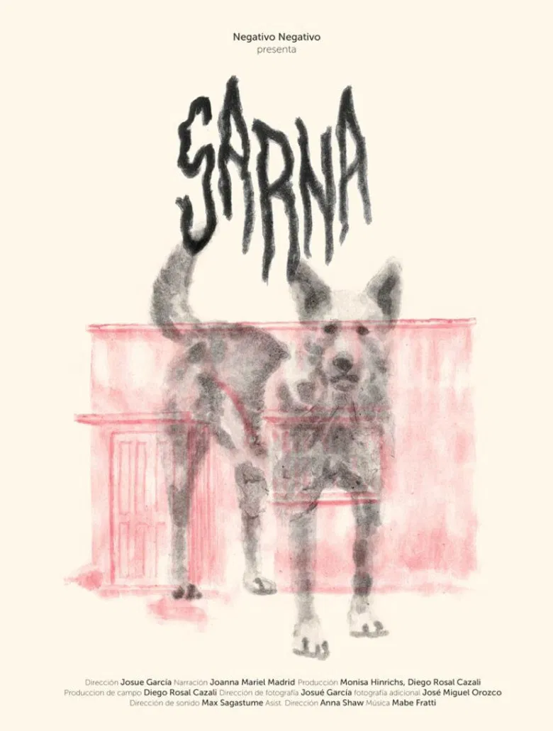 Sarna poster background