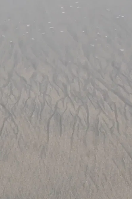 18 poster background