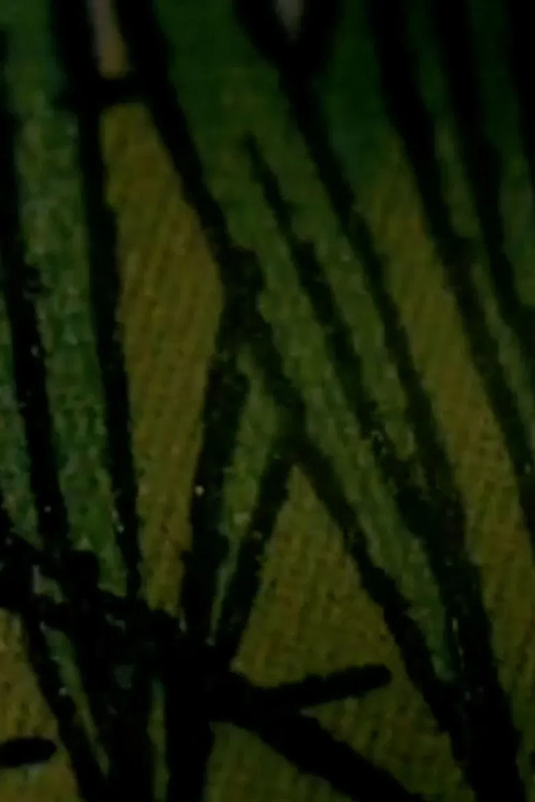 For Them Ending poster background