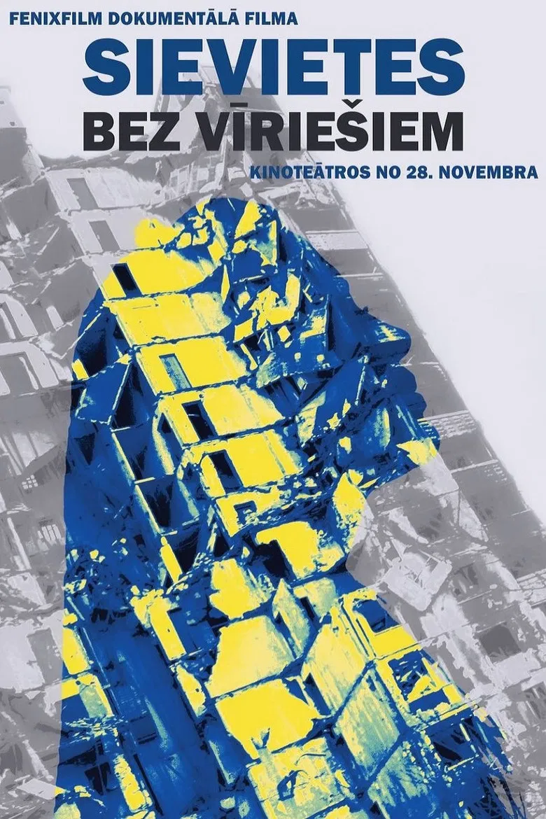 Women Without Men poster background