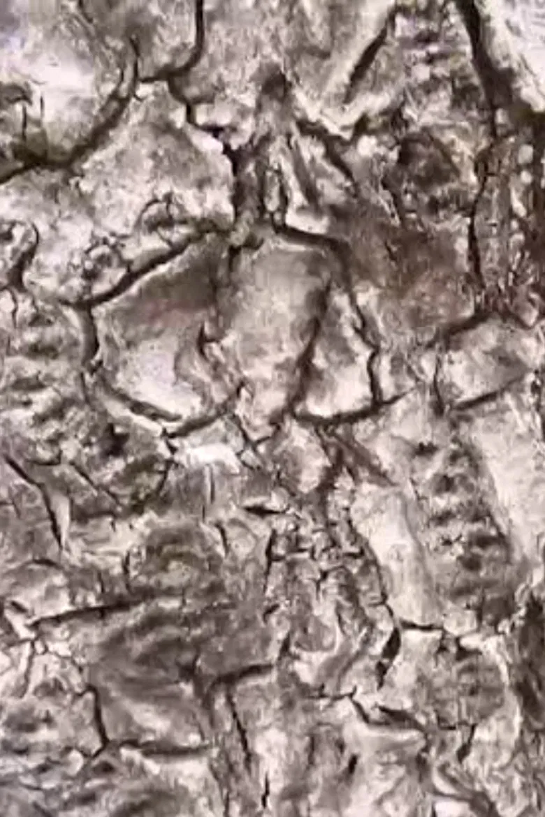 Ecosystem 16 ~ Geoid poster background