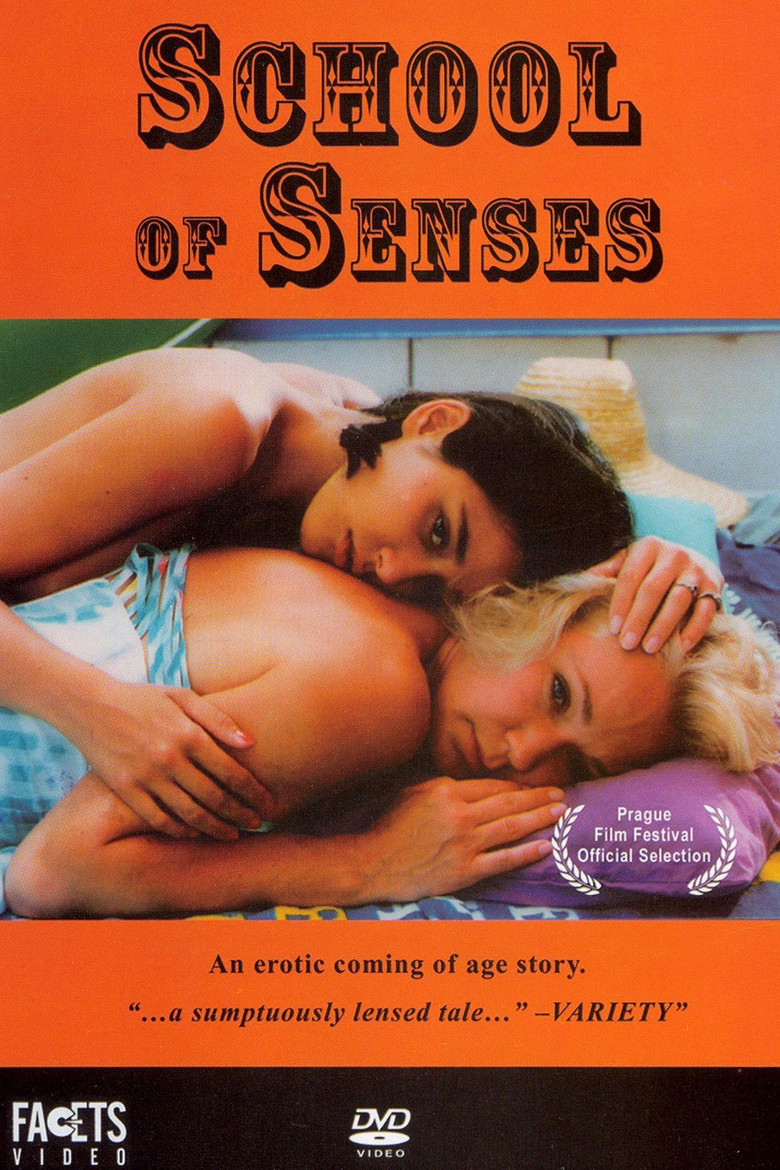 School of Senses poster background