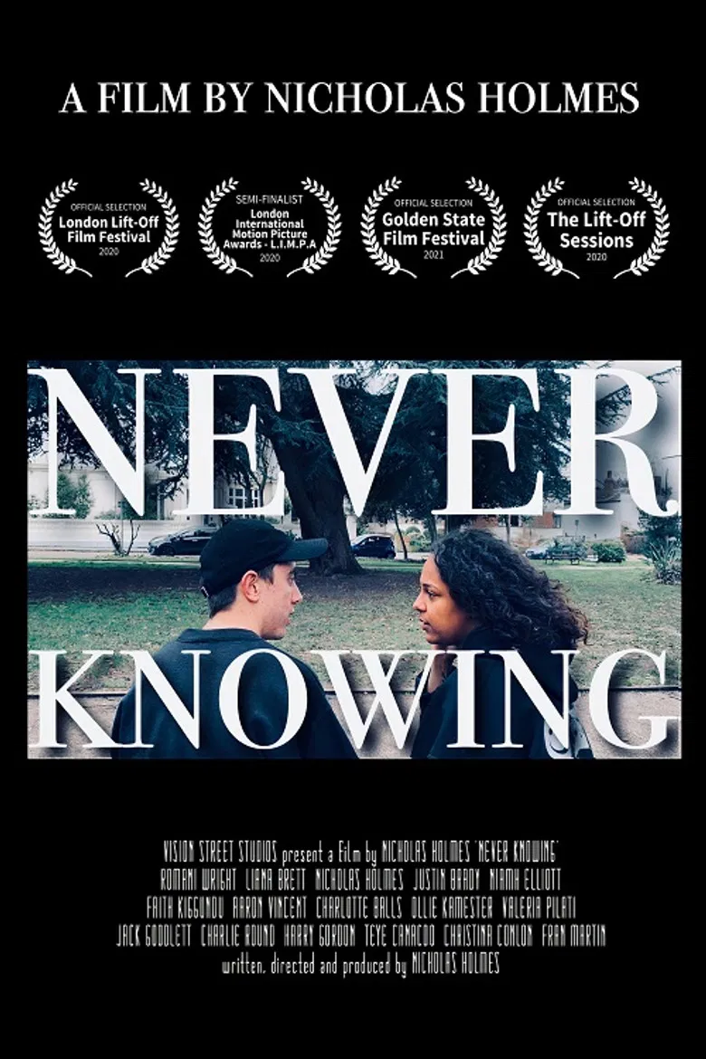 Never Knowing poster background
