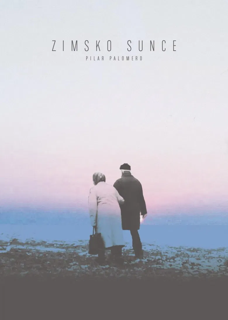 Winter Sun poster background