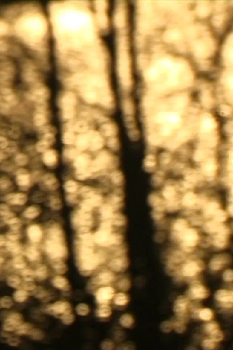 In Transit poster background