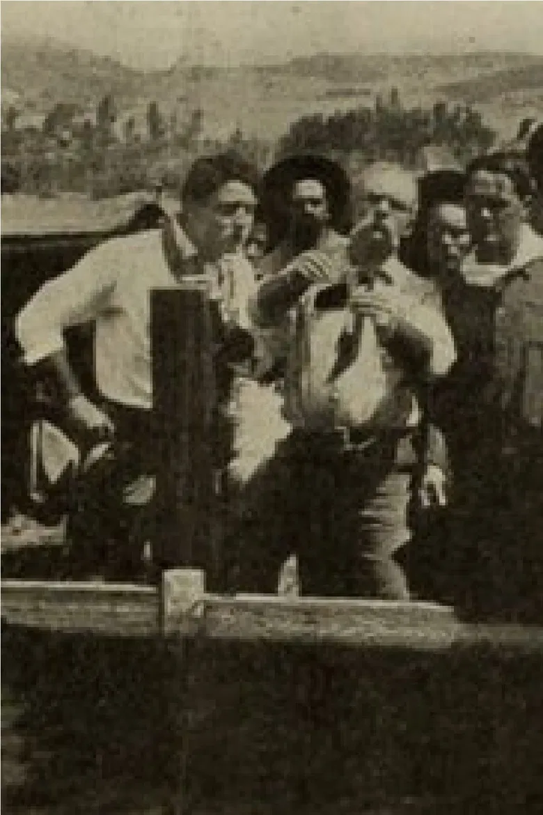 The Poisoned Flume poster background