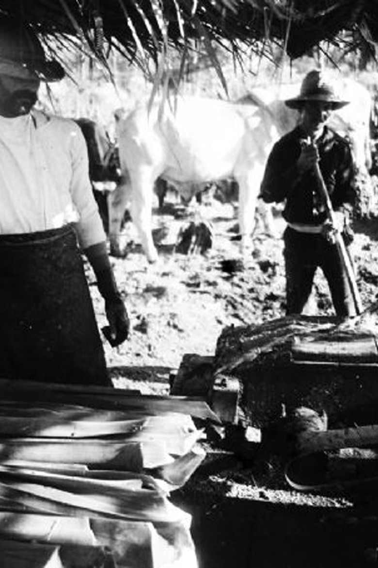 Fibra poster background