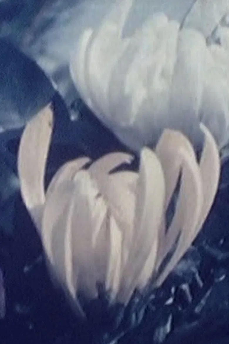 告別 poster background